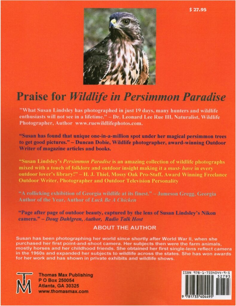 Wildlife in Persimmon paradise